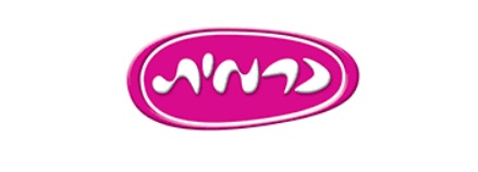 carmit-logo